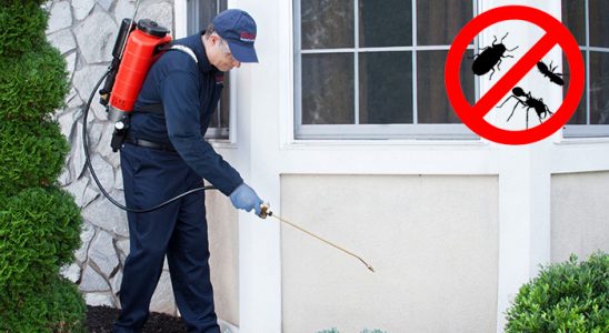 Mazgirt Kemirgen İlaçlama böcek ilaçlama ve haşere kontrolü — ilaclama-tr.com
